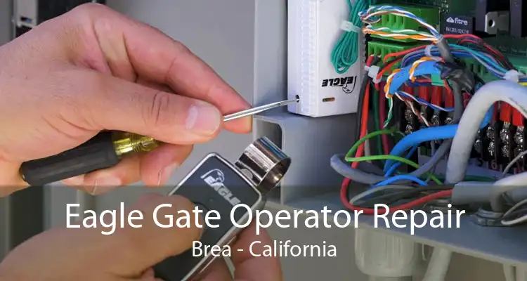 Eagle Gate Operator Repair Brea - California